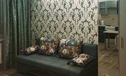 1-комнатные апартаменты посуточно