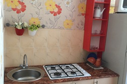 1-комнатная квартира посуточно, ул. Пушкина д. 100