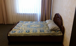 1-roomed apartment by the day, center