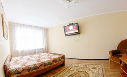 1-roomed apartment by the day