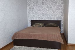 1-комнатная квартира посуточно