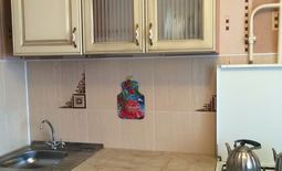 One room apartment by the day