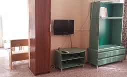 One-bedroom apartment for daily rent