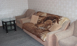 1-комнатная квартира посуточно, мкр. 2 д. 37