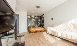 1-roomed apartment by the day