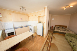 1-roomed apartment by the day, Center