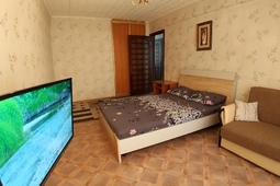 1-roomed apartment by the day