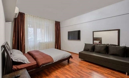 1-roomed apartment by the day