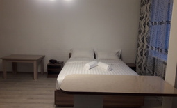 1-roomed apartment by the day