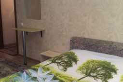 1-room apartment for daily rent in the center