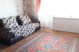 1-roomed apartment by the day, Gapeeva street 1