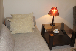 1-room apartment in the center of the city for dai