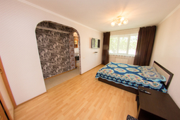 1-комнатная квартира посуточно в центре