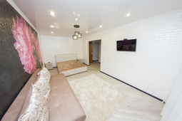 1 bedroom apartment in the center