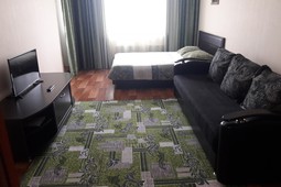 1-room apartment for daily rent, 26 Potanina str.