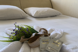 2-room apartments for daily rent, Aktau