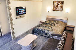 1-комнатная квартира посуточно, Маяковского 6