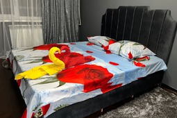 2-комнатная квартира посуточно в 7 мкр.