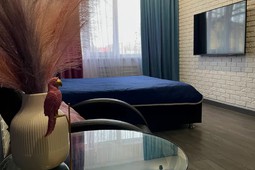 1-room apartment for daily rent, Batys 2