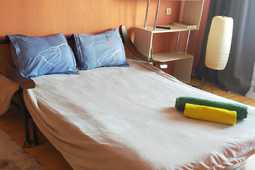 1-комнатная квартира посуточно, Ломова 149