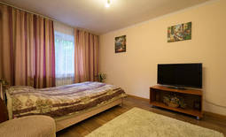 1-room apartment per night, st. Zheltoxane