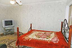 Studio apartment daily