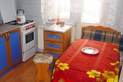 1-bedroom apartment daily