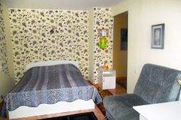 1-комнатная квартира посуточно в центре