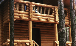 Гостевые дома из сруба "У Маши и Медведя"